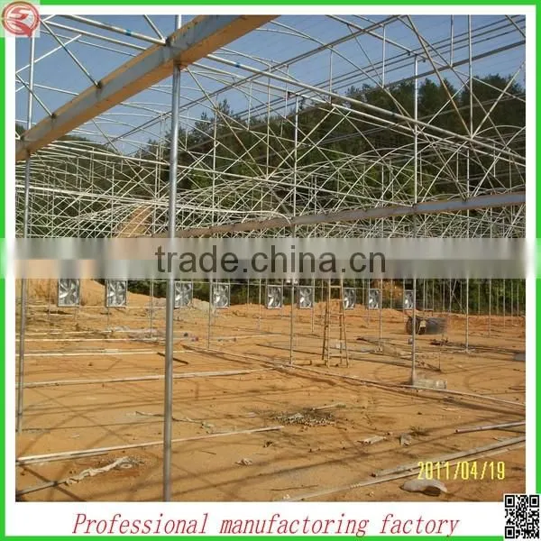 Hot sale agriculrtural multi-span poly house plastic with good price