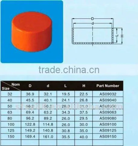 PVC conduit cap