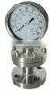 Flange Connection Diaphragm pressure Gauge