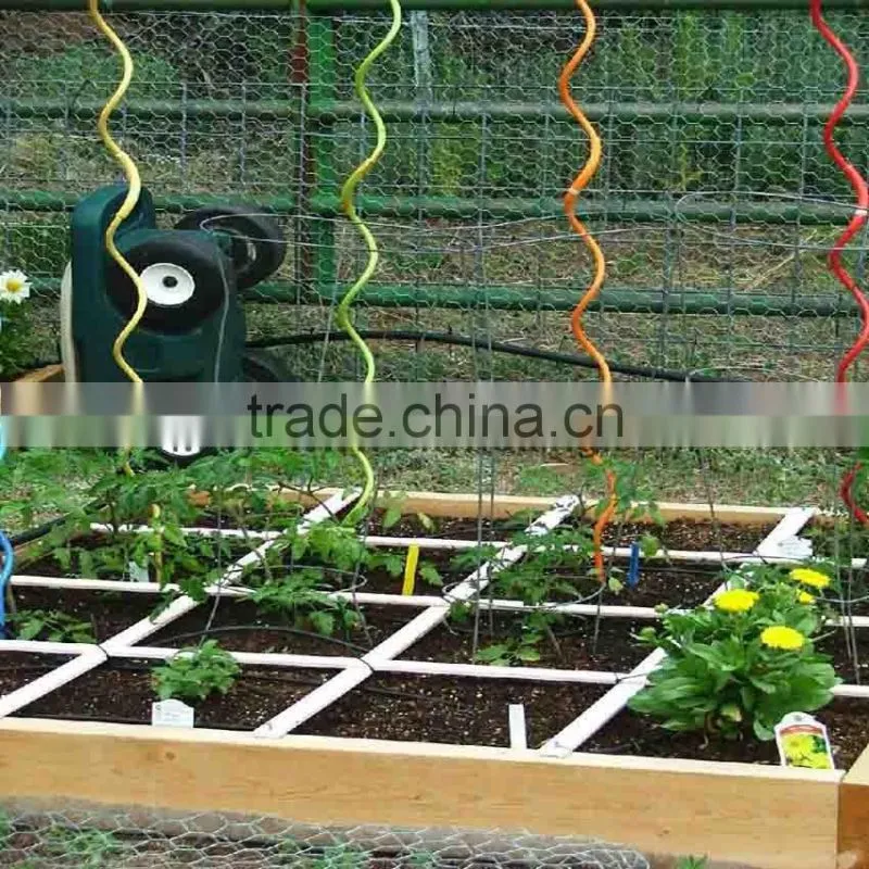 galvanized plant support-tomato spiral support (factory) in China