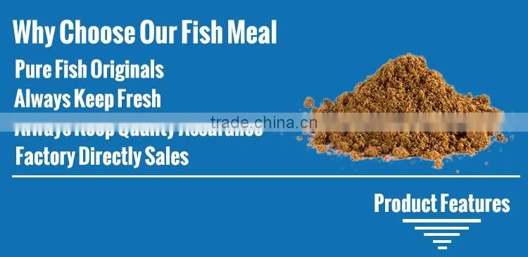 Competitive Fish Meal Price For 50 to 65 Protein