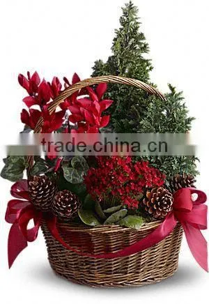 Hot Selling Gift Basket Decorations,Gift Basket Supplies
