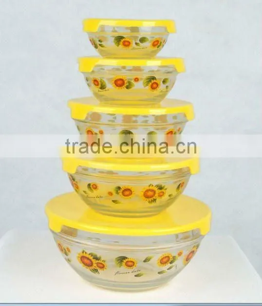 Different sizes 5pcs glass bowl set with lid