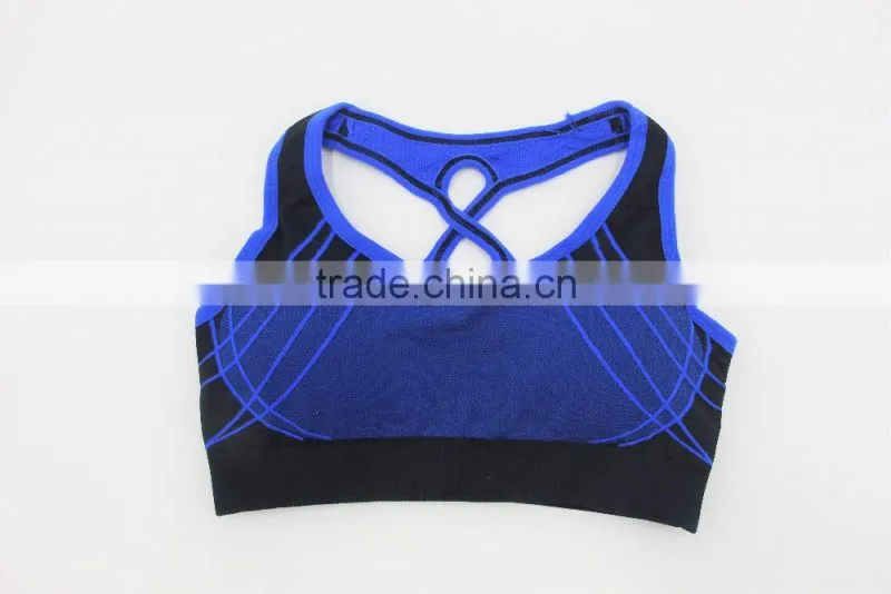 Blue seamless sports bra /customized sports bra factory shantou