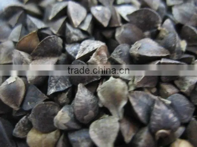 Organic buckwheat