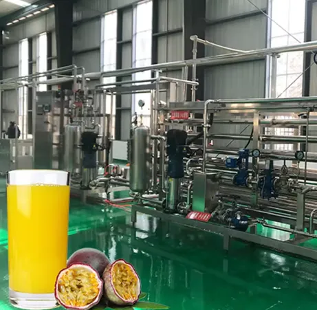 Passion Fruit Pulp Processing Production Line