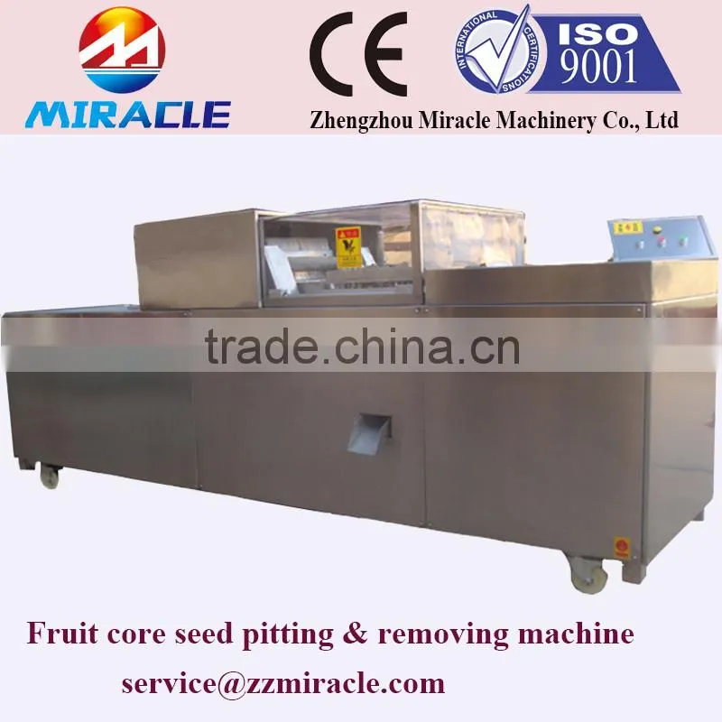 Fast Delivery Date Palm Core Seed Removing Machine From Fruit Process