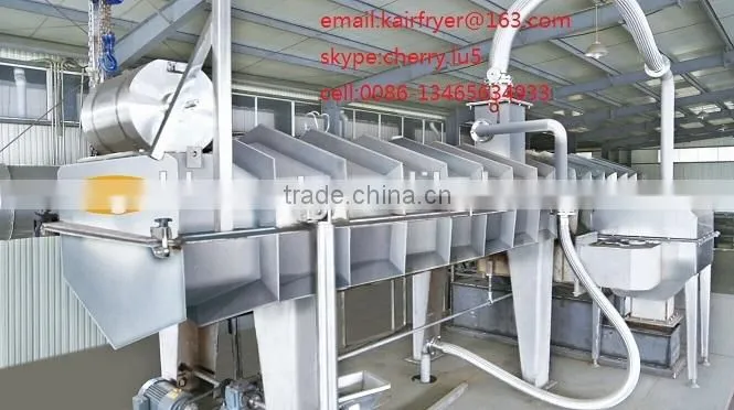 vacuum fry machine /fried fruit and vegetable machine