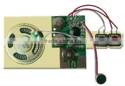 Greeting card programmable sound module
