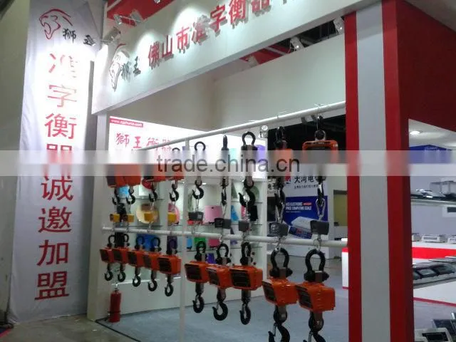 mini crane scale hanging scale