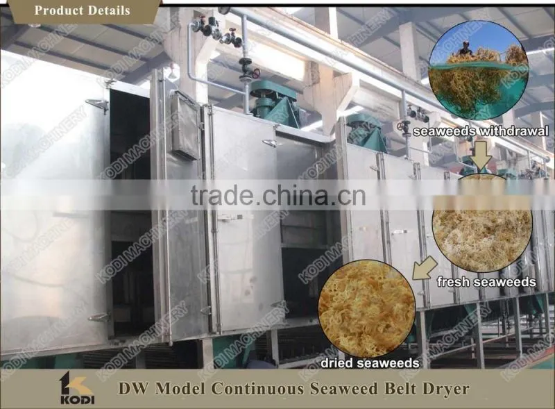 DW Continous Seaweed Mesh Belt Drying Equipment