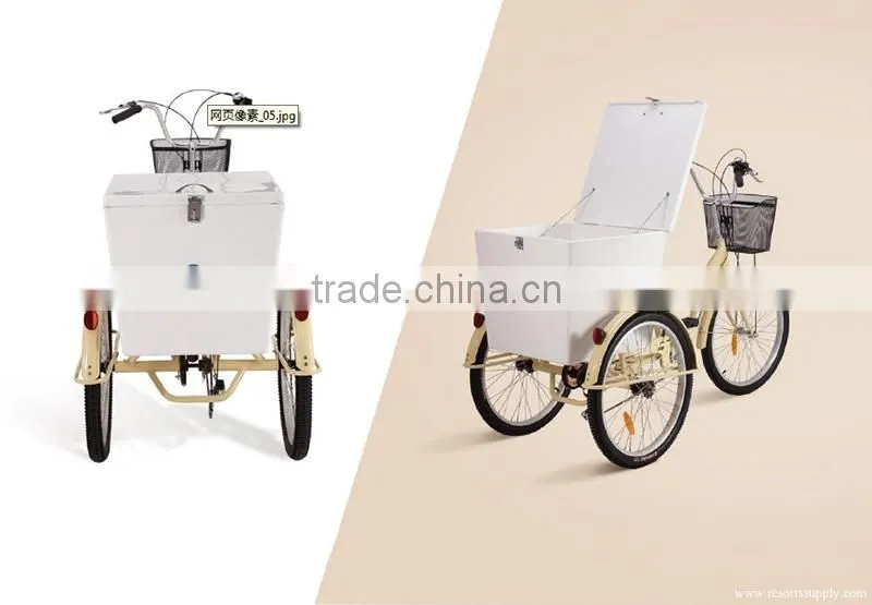 Three wheel Aluminium alloy tricycle cargo bike