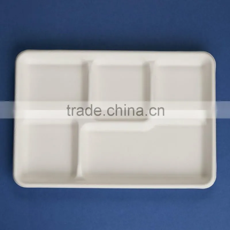 TY-06 12"x8" 5 compartments disposable food sugercane tray