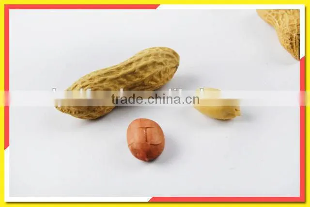 Alibaba China roasted peanut in shell roasted and salted peanuts shell