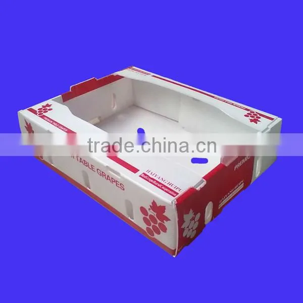 pp corrugated fruit and veg harvesting boxes