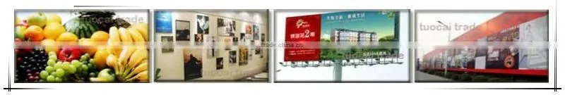 Dx5 heads equipped 3.2m galaxy ud ecosolvent printer