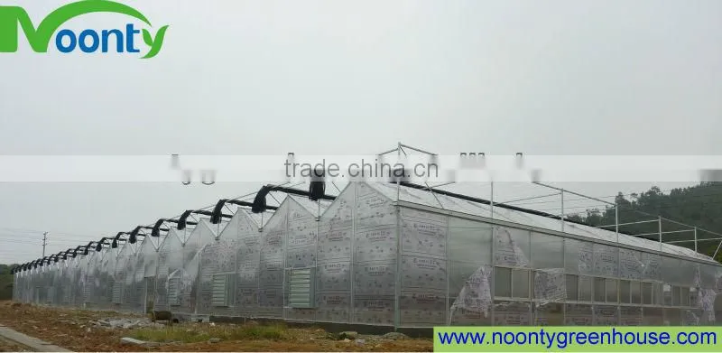 Polycarbonate Sheet Greenhouse