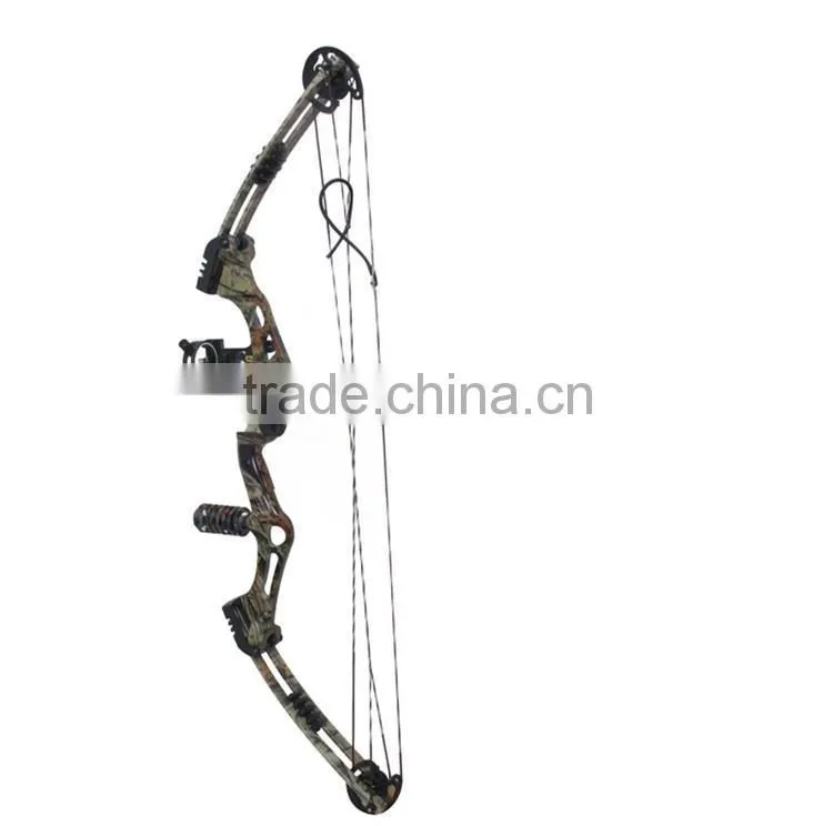 China Hot Sale Compound Bow M-10004 for Hunting