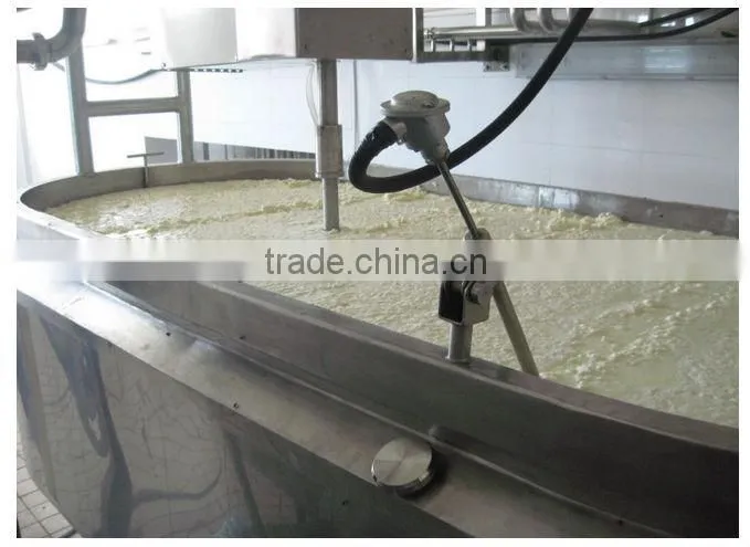 Cheese processing Machinery