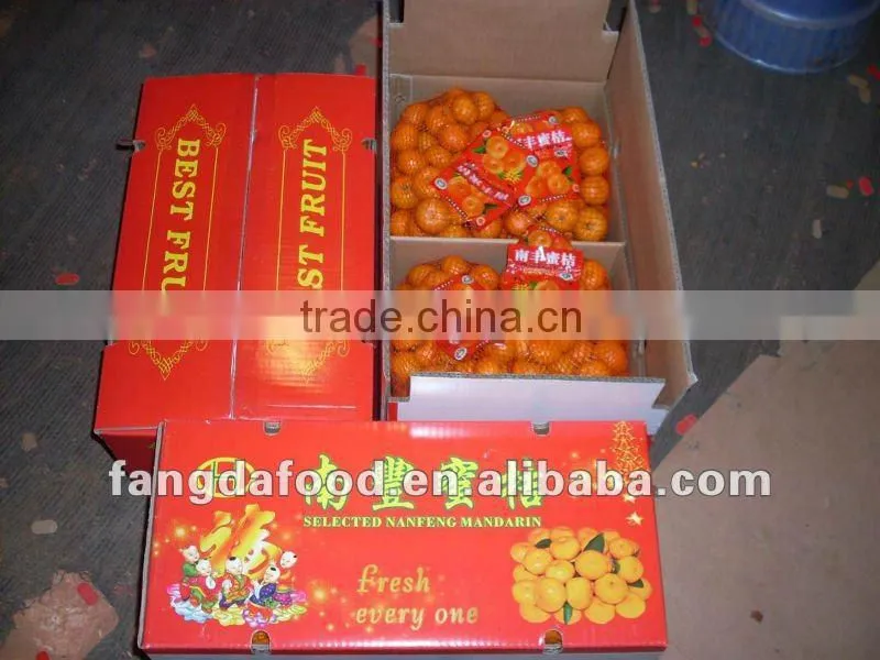 Chinese Fresh Mandarin Orange