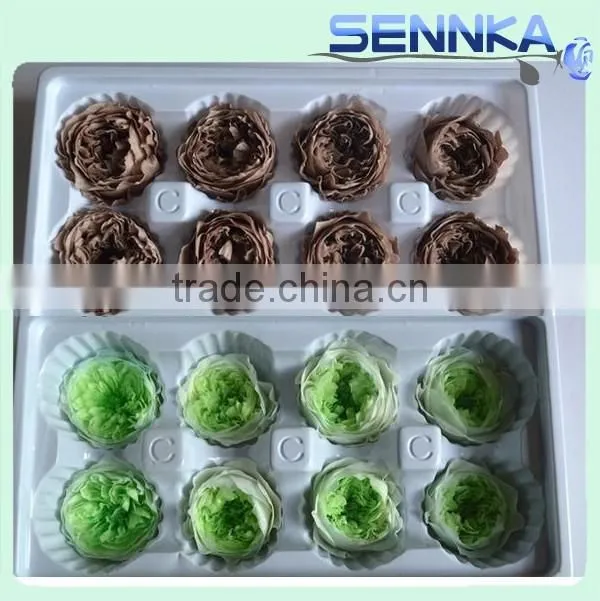 Wedding Favors Preserved Austin Rose Flower Wholesale Approximately 4.5cm Diameter
