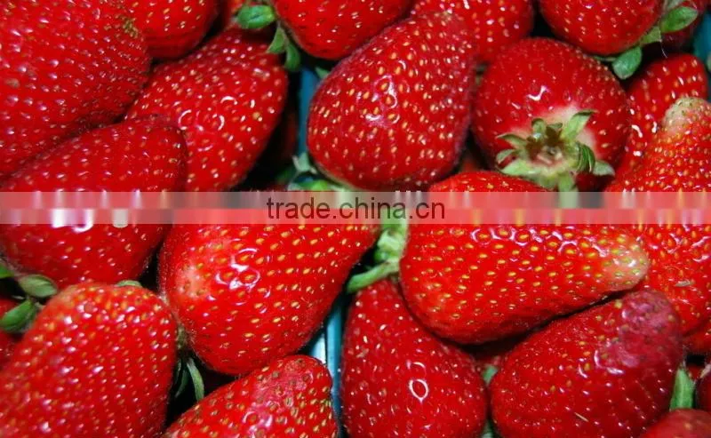 Strawberry Powder