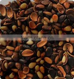 Jiexun Intelligent Nut CCD Color Sorter