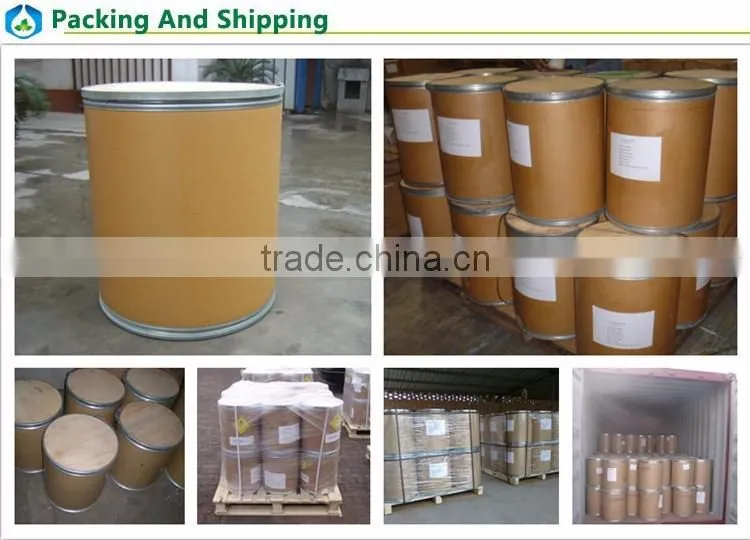 Best price high grade food additive L Glutamic Acid manufacturer