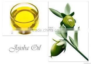 Continuous system jojoba seed oil pressing/extraction plant with low consumption