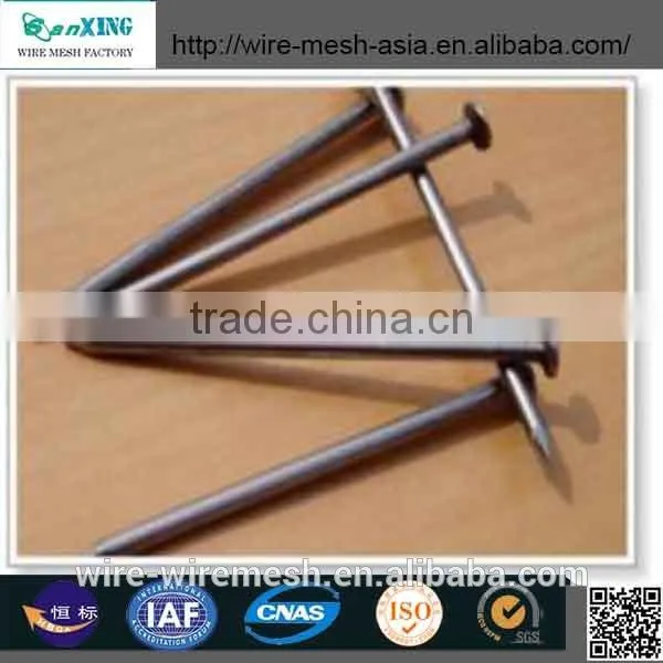 Common Nail price of Iron Nail Factory