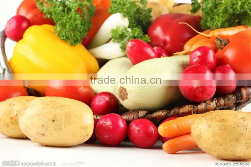 Hot selling magic chopper vegetable slicer for TV promotion