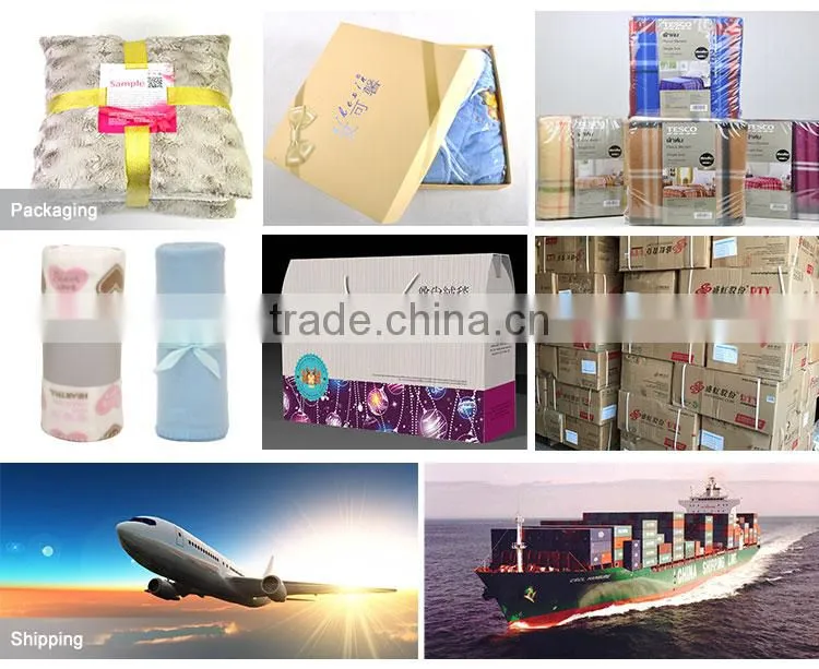 Promotion Gift China Factory Polar Fleece Blanket