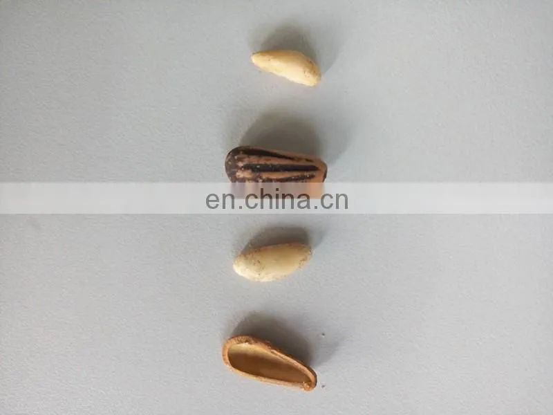 Pine cone processing machine | pine cone nuts sheller /shelling machine/ pinecone peeling machine
