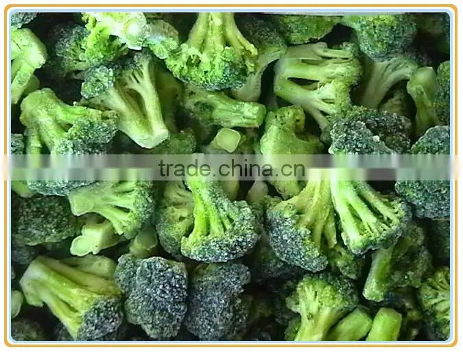 Cleaning fresh green broccoli, frozen broccoli in bulk