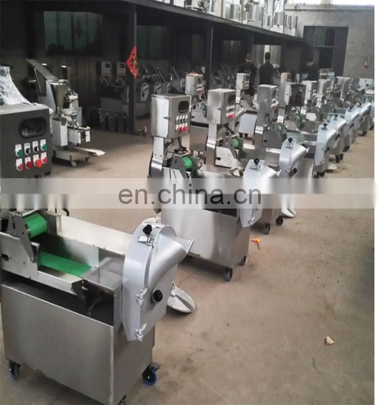 Electric Carrot cutter Most Advanced Stainless Steel Multifunctional Root/Leaf Vegetable Cutting Machine