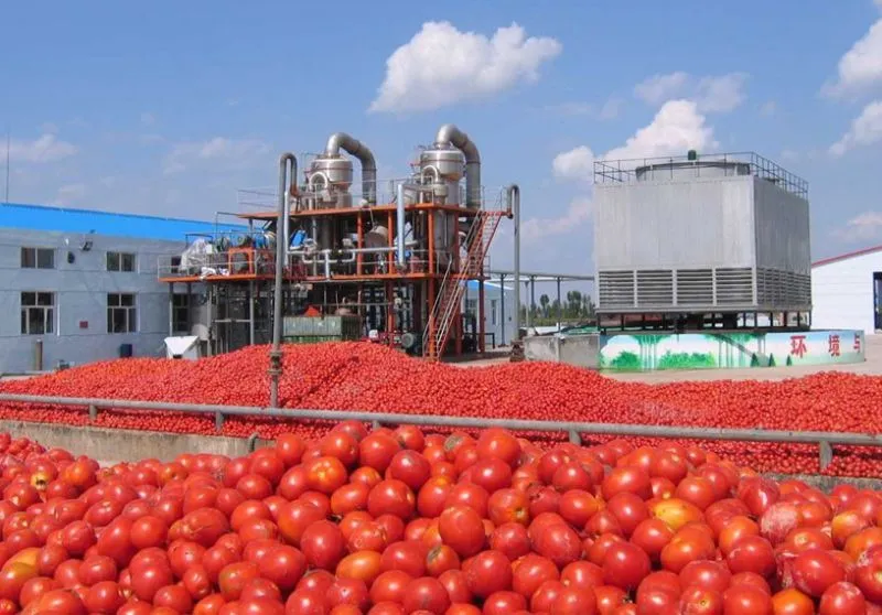 Shanghai Factory Tomato Paste Production Plant Ketchup Making Machine/ Tomato Sauce Fruit Jam Processing Line