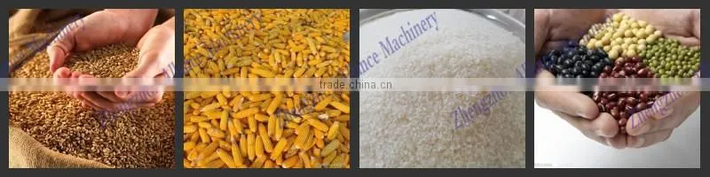 Exported to Bangladesh low price stainless steel grinder machine price