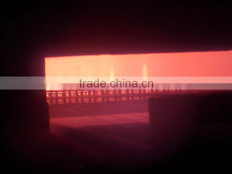 Gas fired steel wire heat treatment furnace for annealing