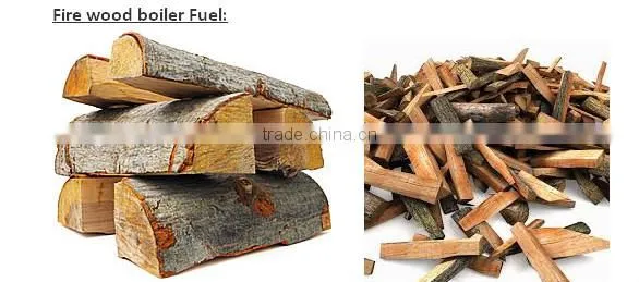 60 Year Boiler Manufacture Sale Wood Boiler