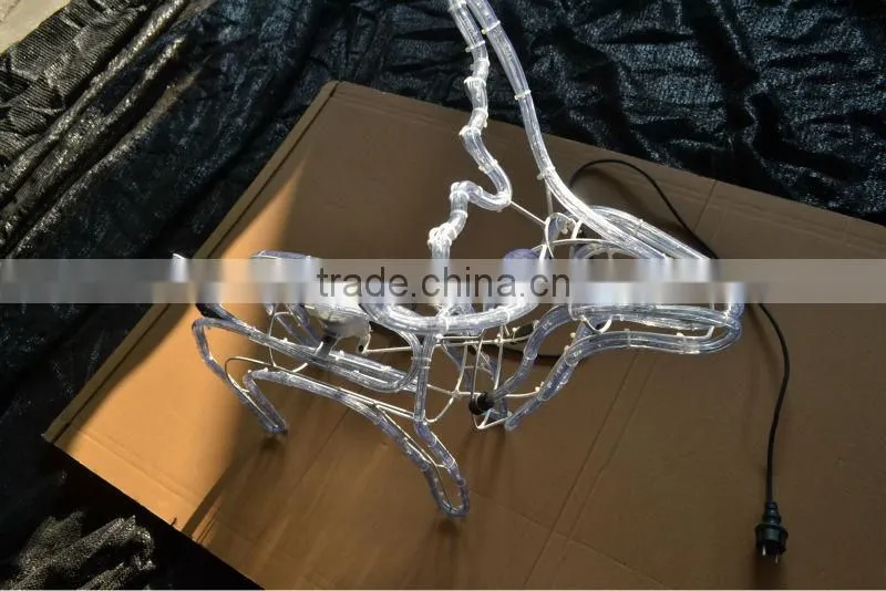 The 2013 Motor control outdoor animated rope lights