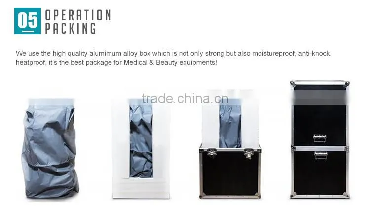 Fractional CO2 laser scar removal stretch mark removal device (With CE)