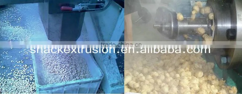150kg/h soya meat processing line