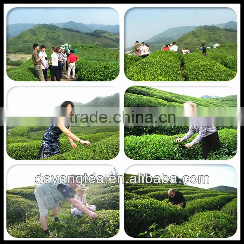 Black tea low price organic ceylon black tea