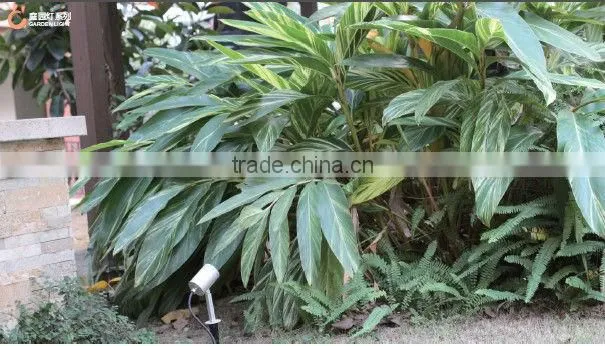 High quality 9W CREE LED outdoor lighting spike led garden lamp