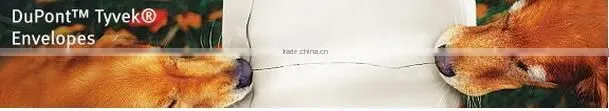 High Quality Mailing Bag Inner Bubble Paper Tyvek Envelope