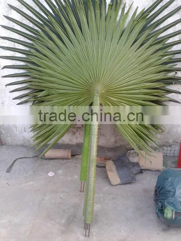 Camouflaged Fan Palm Tree Leaves