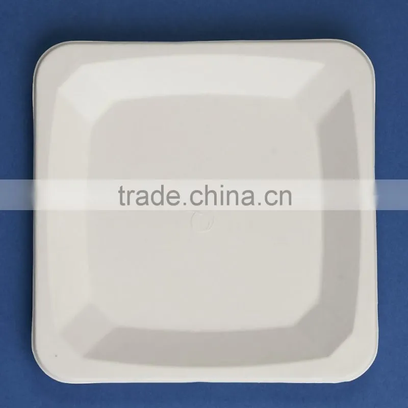 PL-08-S 8.25 inches different shapes disposable flate square shape sugarcane dinner plates