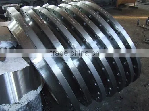 20% discounted AISI stainless steel blind flange/304 forged stainless steel flange
