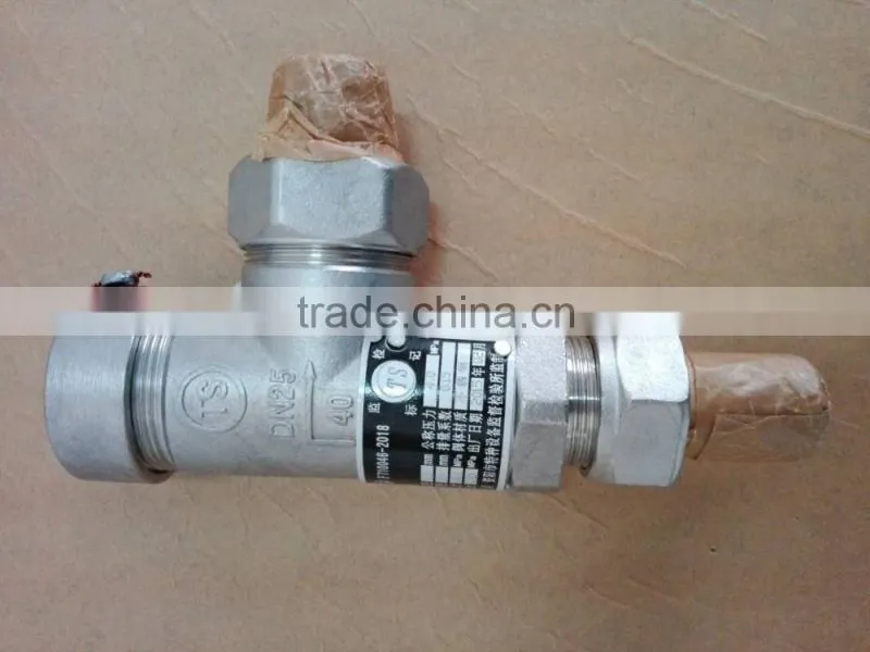 DN25 2.42MPa Safety Valve