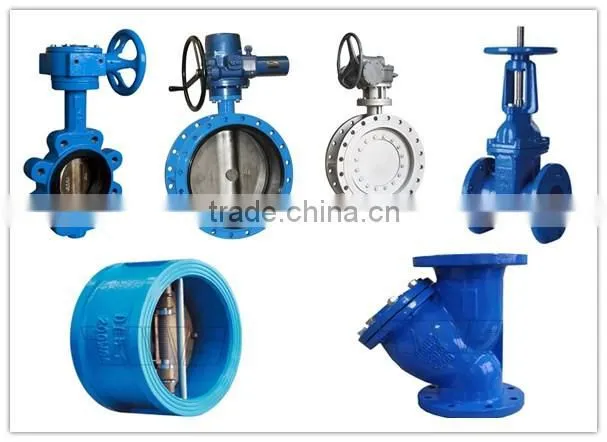 Dual Plate Check Valve with Stainless Steel Disc